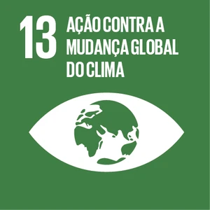 ODS 13 — Ação contra a mudança global do clima